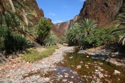  MÉDIA Natura124 öntapadós és mosható fali tapéta, 270 x 200 cm