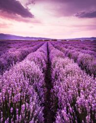  MÉDIA fali tapéta, öntapadó és mosható, levendula 7, 135 x 225 cm