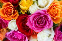  Színek robbanása tapéta, 300 x 250 cm