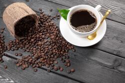  MÉDIA Composition34 öntapadós tapéta, 270 x 200 cm