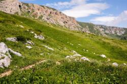  Natura90 tapéta, 400 x 250 cm