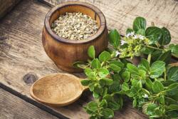  MÉDIA Compozitie25 öntapadó és mosható fali tapéta, 220 x 135 cm