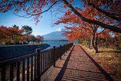  Media Nyomtatott tapéta, folyó menti tájkép, 270 x 200 cm