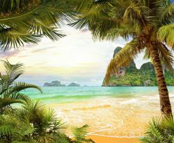  Média tapéta, strand, pálmafák, sziklák, 220 x 135 cm