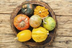  Összetétel 26 tapéta, 350 x 250 cm