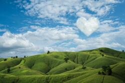  Tapéta Natura67, 300 x 200 cm