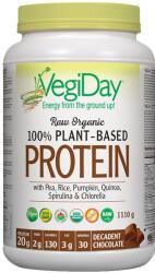 Natural Factors VegiDay 100% Plant-Based Protein, ciocolată, 1110 g, Natural Factors