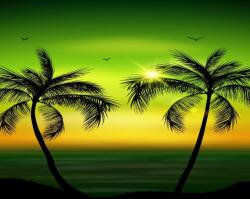  MÉDIA fali tapéta, öntapadó és mosható, pálmafák 7 modell, 270 x 200 cm