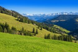  Tapéta Natura135, 300 x 200 cm