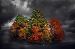  Öntapadó és mosható falfestmény Színes pác, 200 x 150 cm