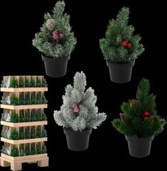 Chomik Karácsonyi fenyőfa 21 cm vegyes mintákban (CH-HIN2022)