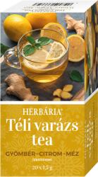 Herbária Téli Varázs Citrom-Gyömbér-méz ízű filteres teakeverék - 20x1, 5g ( A gyömbér és citrom harmonikus kombinációja felmelegíti a téli estéket, a méz íze pedig mindezt megédesíti. )