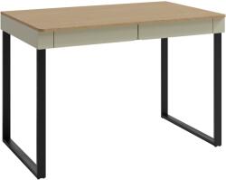  Íróasztal Fiosono 109 (Eukaliptusz + Tölgy)