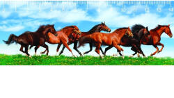  Mapcards 3D Vonalzó 148x55 mm Lovak (MC906)