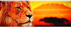  Mapcards 3D Vonalzó 148x55 mm Kilimanjaro (MC908)