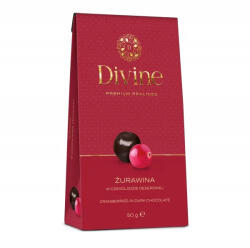 Eurohansa Áfonya Desszertcsokoládé Divine Premium Pralines Eurohansa 50G