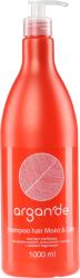 Stapiz Sampon hidratant Argan'De, 1000ml, Stapiz