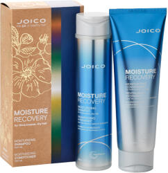 Joico Set Sampon + Balsam Moisture Recovery, 300ml + 250ml, Joico