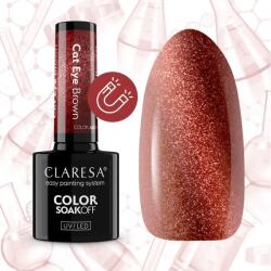 Claresa Oja Semipermanenta Claresa Cat Eye Brown 5g