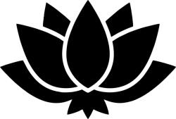 Dekory Studio Lótusz matrica 1