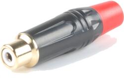 WorldMix - ERJ 2B G6 R RCA aljzat, piros jelöléssel - dj-sound-light