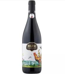 BOLYKI - Egri Cabernet Franc 2019 0.75 l