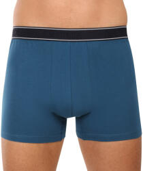 Andrie Férfi boxeralsó Andrie többszínű (PS 5828/green) L