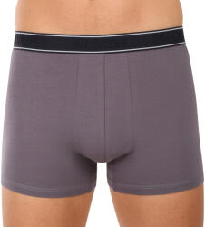 Andrie Férfi boxeralsó Andrie többszínű (PS 5828/light gray) XXL