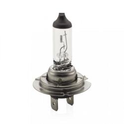 Carguard Bec halogen H7 55W +30% intensitate CARGUARD BHA054 (BHA054)