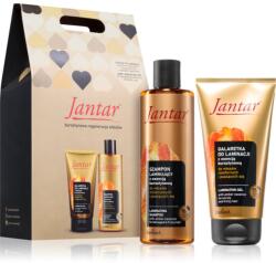 Farmona Natural Cosmetics Laboratory Jantar Set ajándékszett a károsult hajra
