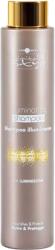 Hair Company Professional Hair Company Inimitable Style Illuminating Shampoo 250 ml