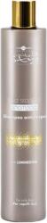 Hair Company Professional Hair Company Inimitable Style Frizz Stopper Shampoo 250 ml
