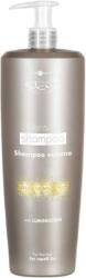 Hair Company Professional Hair Company Inimitable Style Density Shampoo 1000 ml