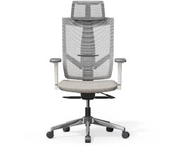 FlexiSpot Ergonomikus irodai szék BS6, Szürke- fejlett ergonómiai kialakítás, állítható fejtámla és kartámasz, hálós háttámla, hosszú távú ülőmunkához (BS6G)