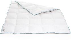 Green Future LIFE pilot, 140 x 200 cm, nanoszálas töltettel