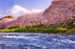  Natura34 öntapadós tapéta, 250 x 150 cm