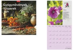 TopTimer Naptár, fali, TOPTIMER, „Gyógynövények, fűszerek (NKT09816U)