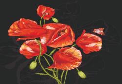  Öntapadós tapéta Pipacsok, piros és fekete2, 270 x 200 cm