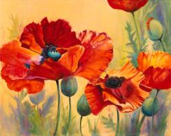  Poppies öntapadós tapéta, 250 x 150 cm