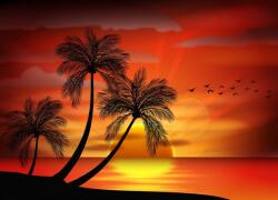  Matrica tapéta Palmieri15, 350 x 200 cm