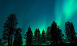  Öntapadós tapéta Univers11 Forest a csillagok között, 200 x 150 cm