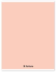 Fortuna Caiet căptușit FORTUNA Monocolor A/4 32 foi pastel piersică 01.02104 (01.02104)