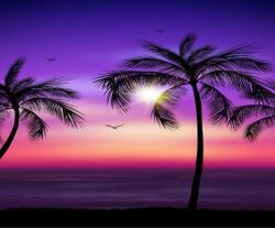  Tapéta Pálmafák5, 300 x 250 cm