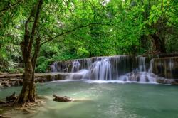  Matrica tapéta Cascada44 Vízesések a zöld erdőben, 250 x 200 cm