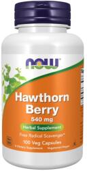 NOW Hawthorn Berry, 100 capsule, Now