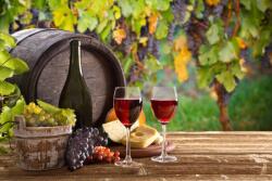  Öntapadós tapéta Hordó, bor, szőlő, 270 x 200 cm