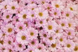  Matrica tapéta Flori89, 250 x 200 cm