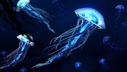  Blueback MAT fotótapéta, Lumineszcens medúza, 250 x 200 cm
