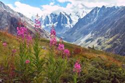  Natura64 öntapadós tapéta, 250 x 150 cm