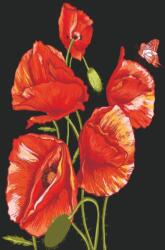  Öntapadós tapéta Pipacsok, piros és fekete, 200 x 255 cm